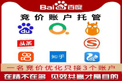 百度竞价策略解析：案例分析及优化建议